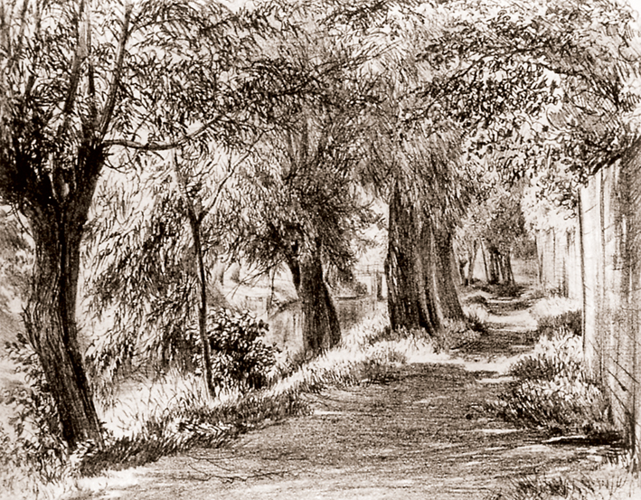  Adolpyh Von Menzel —— 林荫路